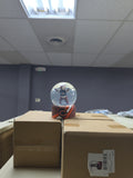 Bears Snow Globe